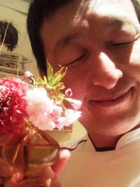 チプ桜02.jpg