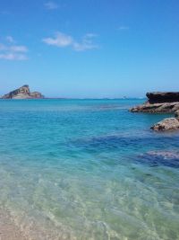 種子島26.jpg