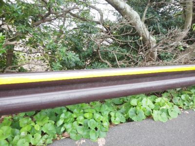 薩摩留学生会館17.jpg