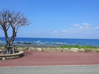 IMG_20140715_104835751.jpg