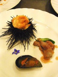 VINI HAYASHI X CIPRESSO06.jpg