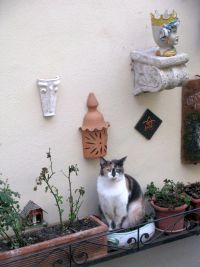 cetona04.jpg