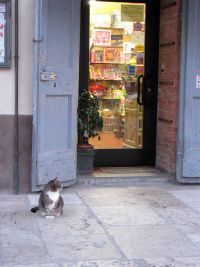 cetona05.jpg