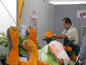 concorso_di_zucca2009_09.JPG