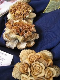 concorso_di_zucca2009_50.JPG