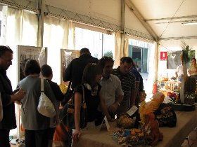 concorso_di_zucca2009_89.JPG