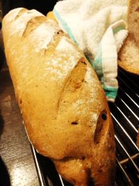 espresso_pane.jpg