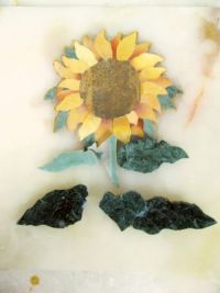 girasole_02.jpg