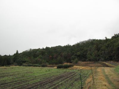 ookuchi01.jpg