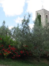 sangimi200916.jpg