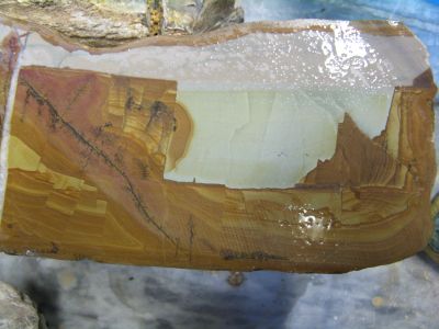 tavola200902.jpg