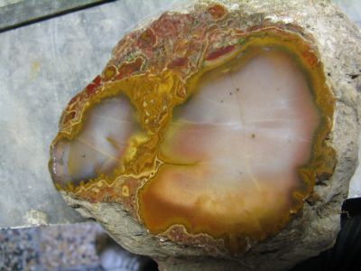 tavola200903.jpg