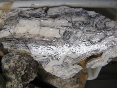 tavola200904.jpg