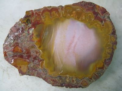 tavola200910.jpg